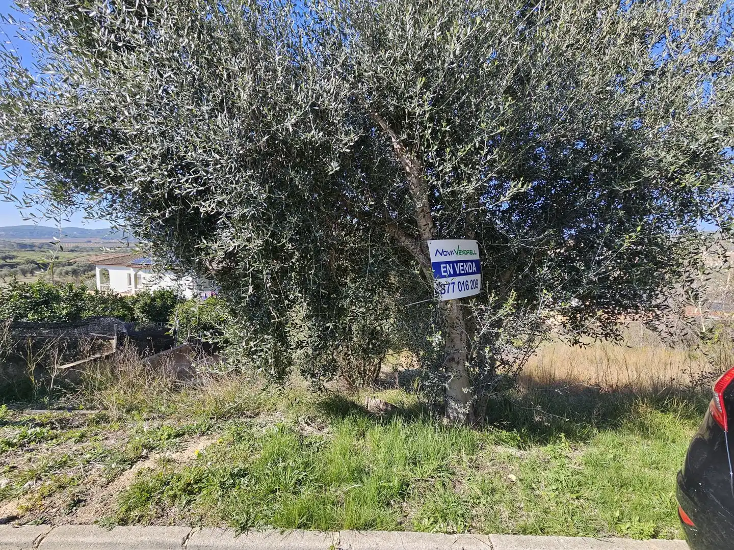 Terrenos y solares en venta en La Bisbal del Penedès, imagen 3