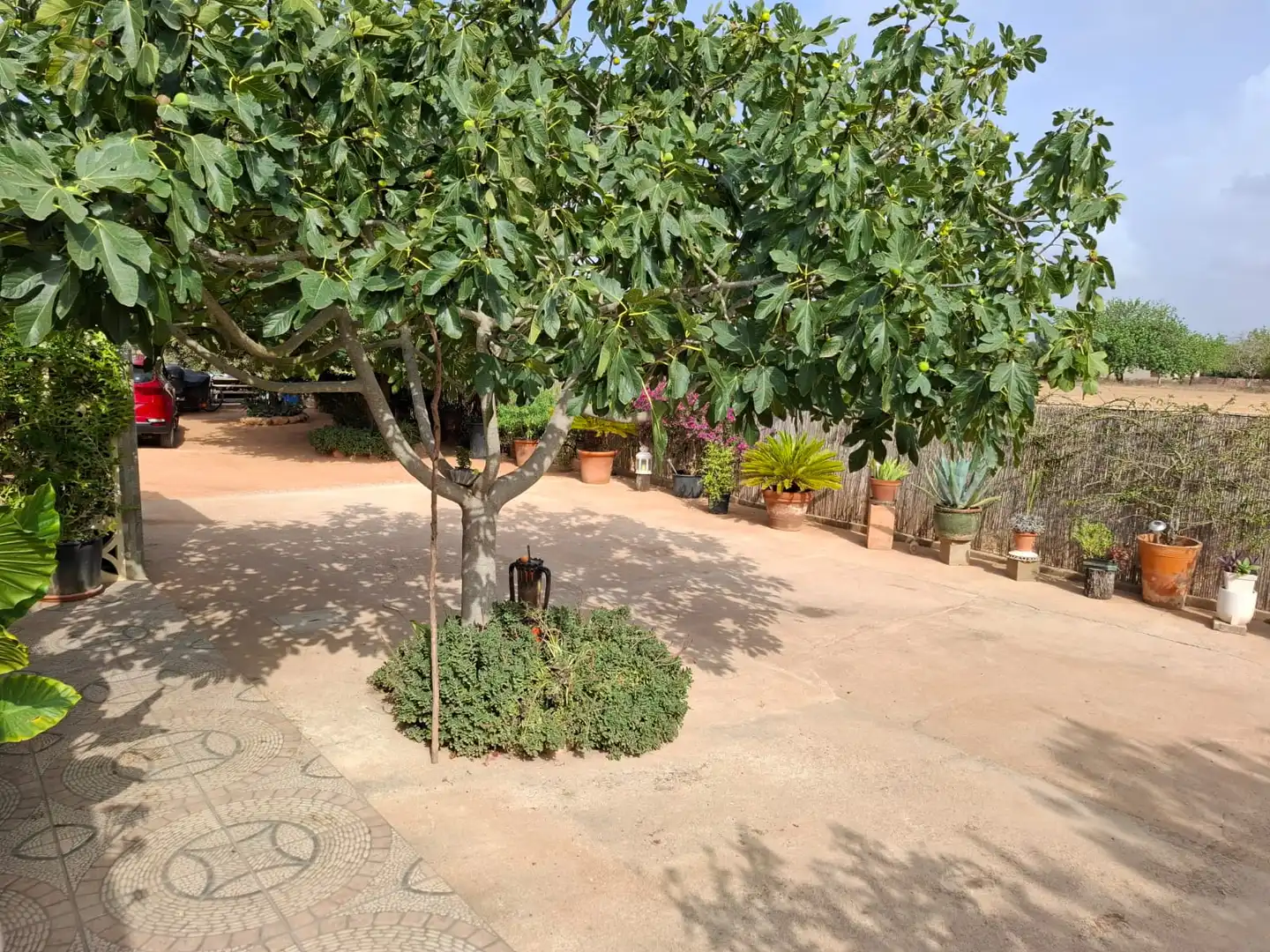 Maison rustique à vendre à Algaida, imagen 13