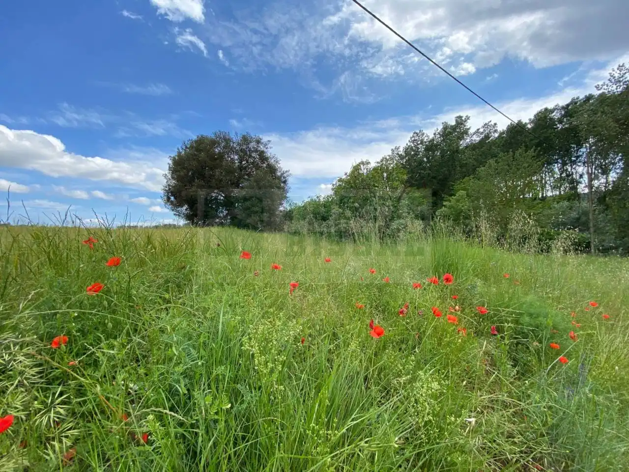 Finca rústica en venta en La Pera
