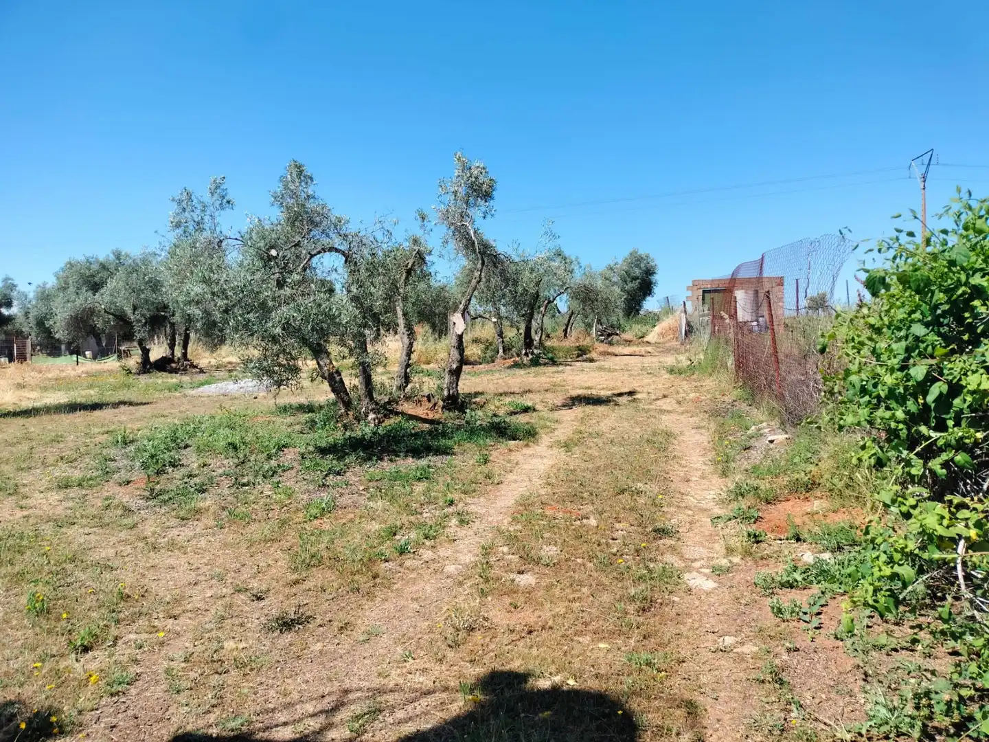 Casa o chalet en venta en Almodóvar del Campo con Aire acondicionado, Calefacción y Terraza