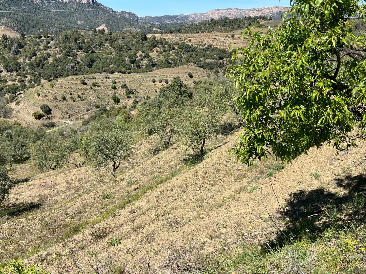Rural land for sale in Gratallops, imagen 17