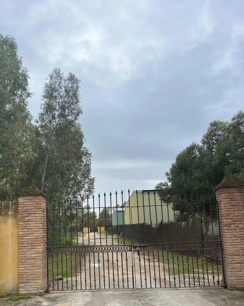 Casa rústica en venda a Benalup-Casas Viejas, imagen 17