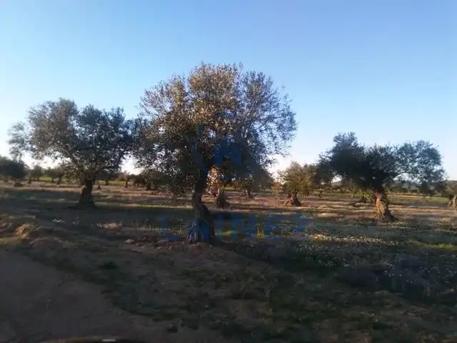 Terreni e lotti in vendita a Valsequillo, imagen 6