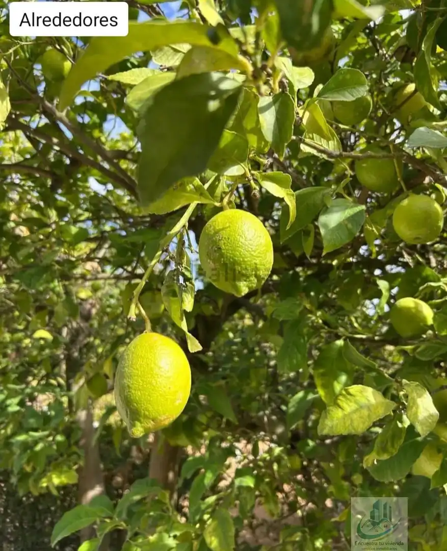 Garten von Country house zum Verkauf in Puerto Real mit Klimaanlage, Abstellraum und Schwimmbad