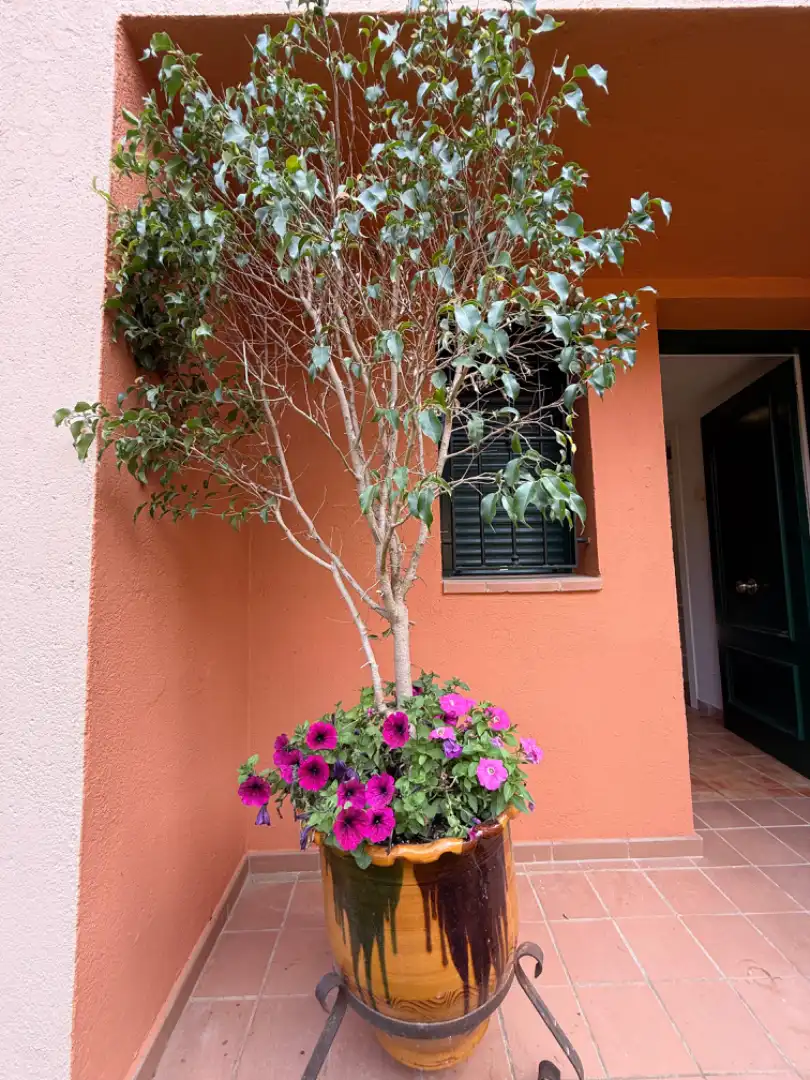 Terraza de Casa adosada en venta en Sant Feliu de Guíxols con Jardín privado, Terraza y Balcón