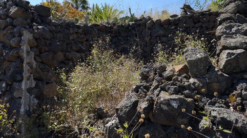 Foto 5 de Finca rústica en venta en Carretera el Amparo, Icod de los Vinos pueblo, Icod de los Vinos