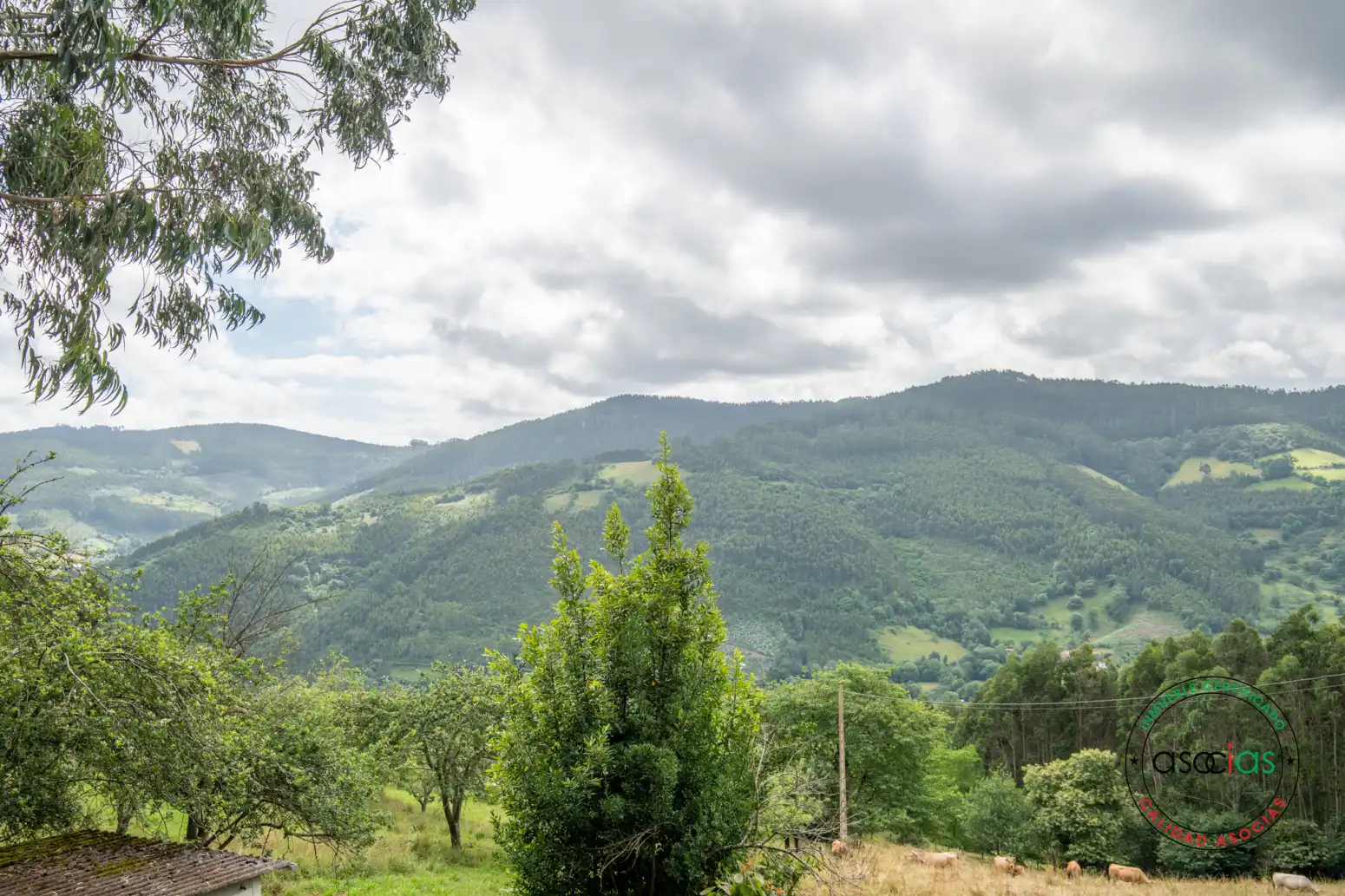 Casa o xalet en venda en Villaviciosa amb Jardí privat i Traster