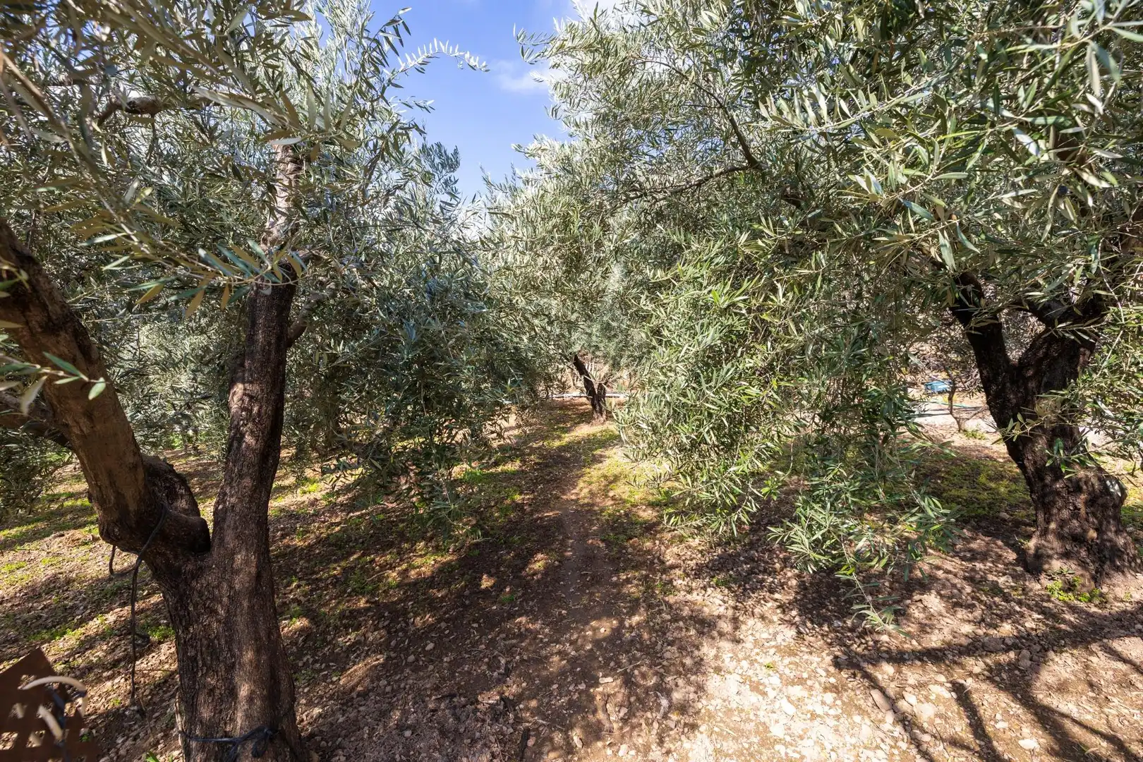 Villa con terrazza in vendita a Güéjar Sierra, imagen 33