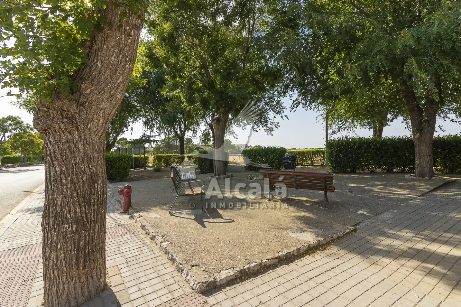 Rural land for sale in Pezuela de las Torres, imagen 39