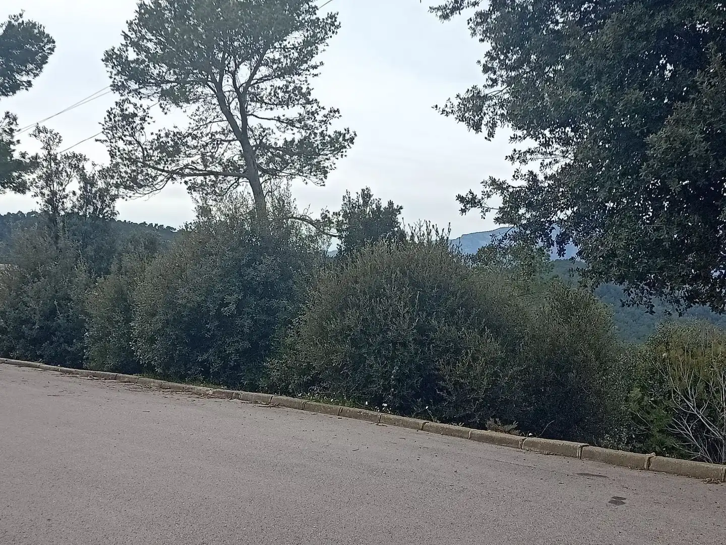 Terrenos y solares en venta en de l'espigol 12, imagen 7