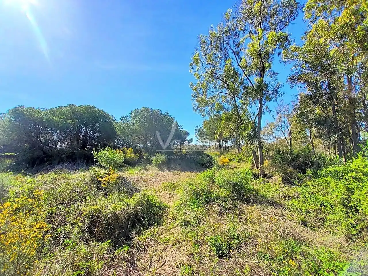 Terrenys i solars en venda a Sotogrande Alto, imagen 13