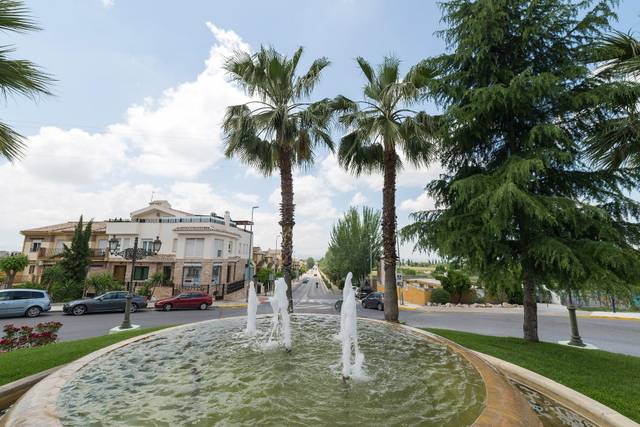 Local comercial en Venta en Avenida Reina Sofia, 39 en Peligros