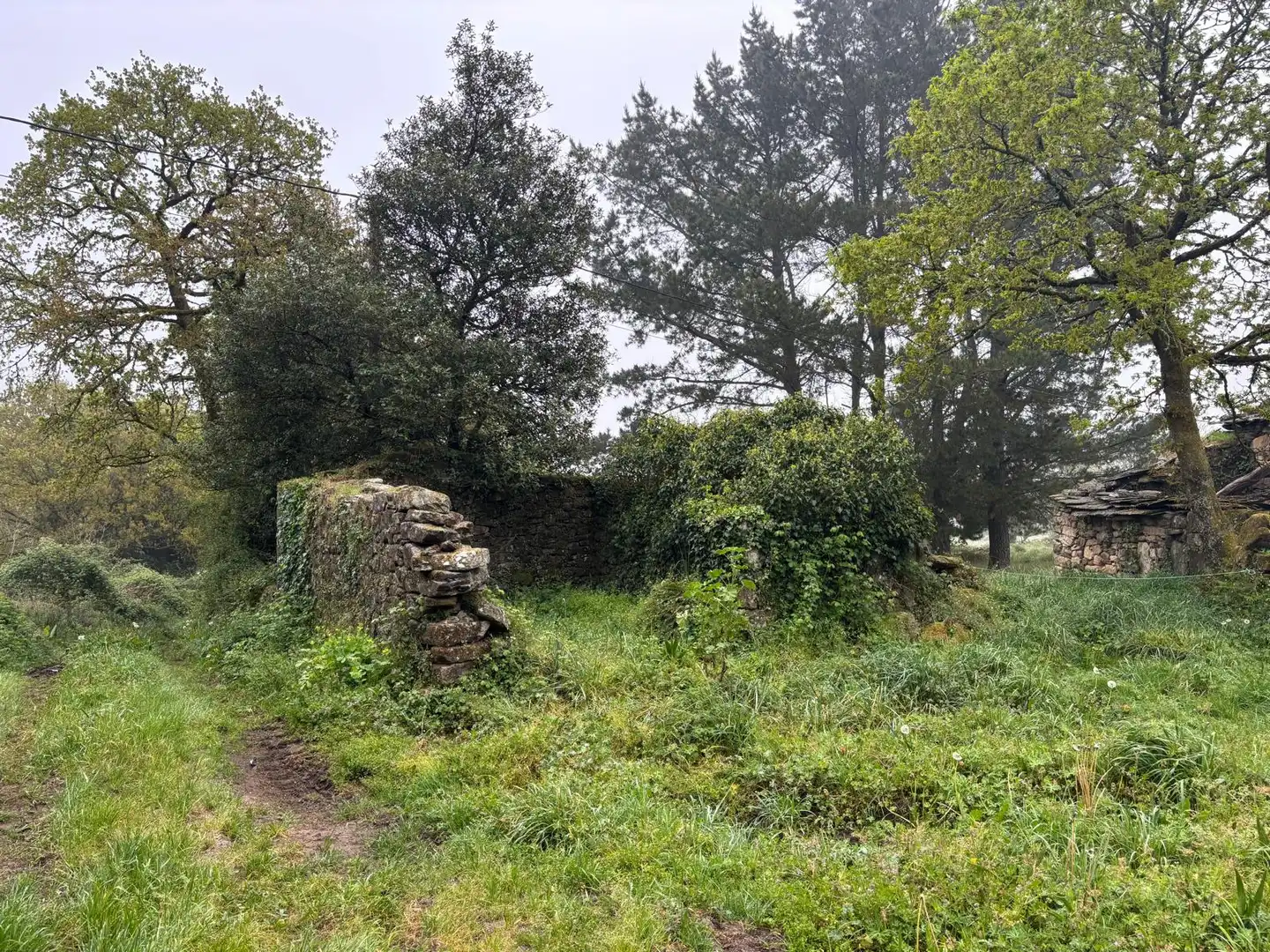 Finca rústica en venta en Guitiriz