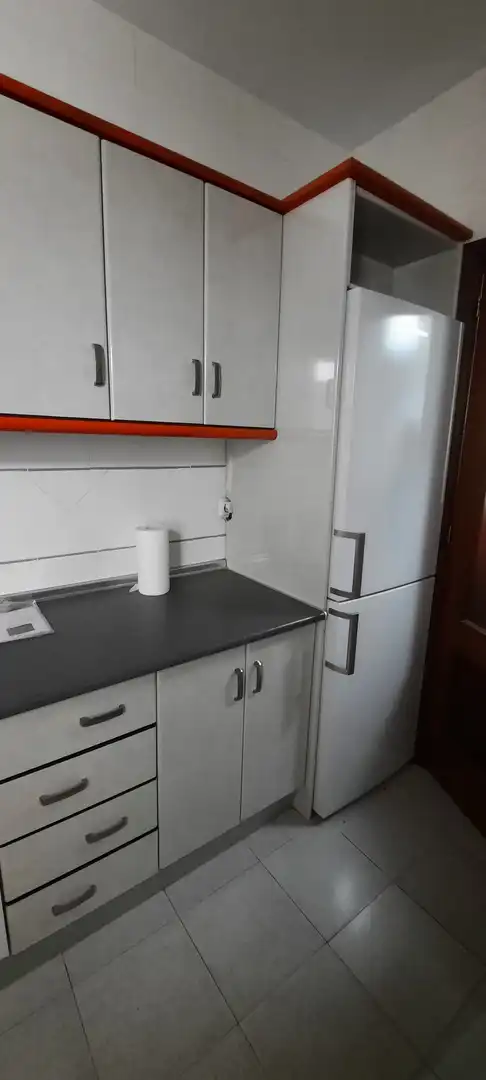 Pis de lloguer a Centro