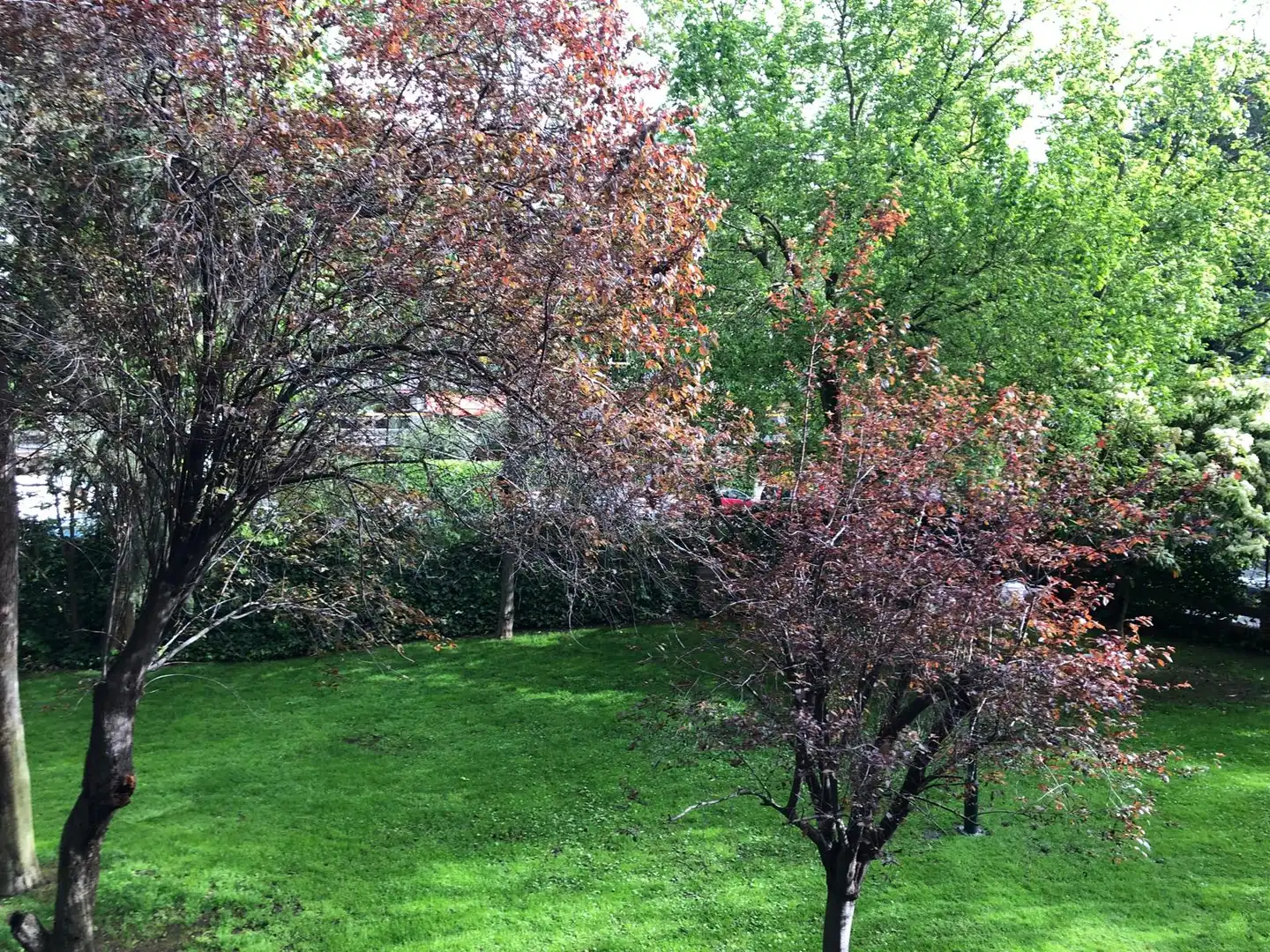 Jardí de Pis de lloguer en Madrid amb Calefacció, Terrassa i Forn