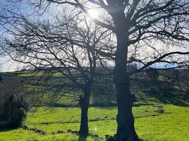 Lands and plots for sale in Campoo de Enmedio