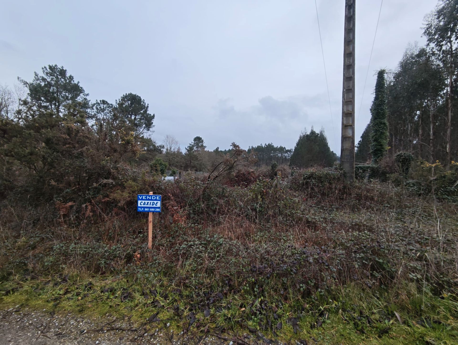 Terreno en venta en Ordes