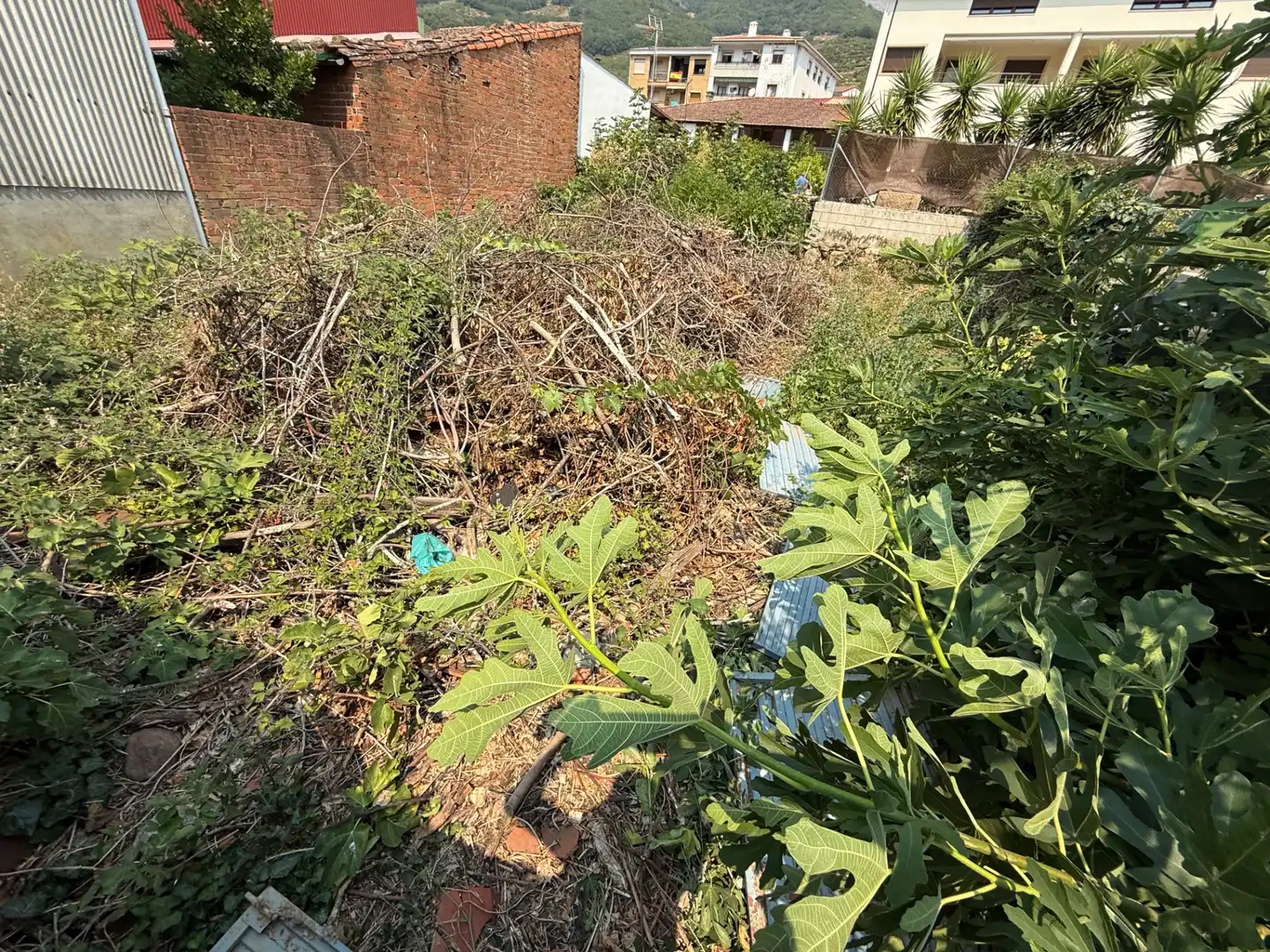 Residential land for sale in Calle Ramón Cepeda 73, imagen 3