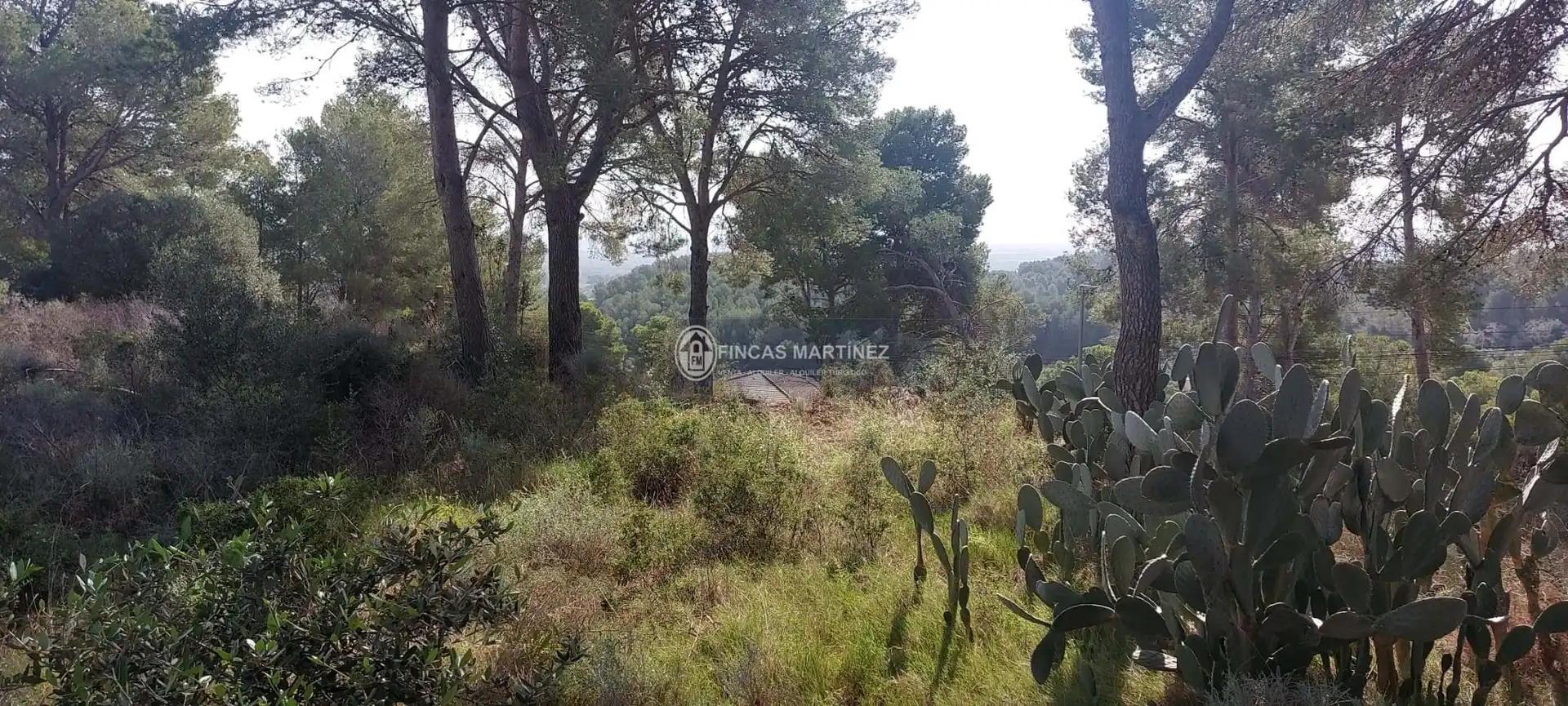 Terrenys i solars en venda a urbanizacion mar de riudecanyes, imagen 6