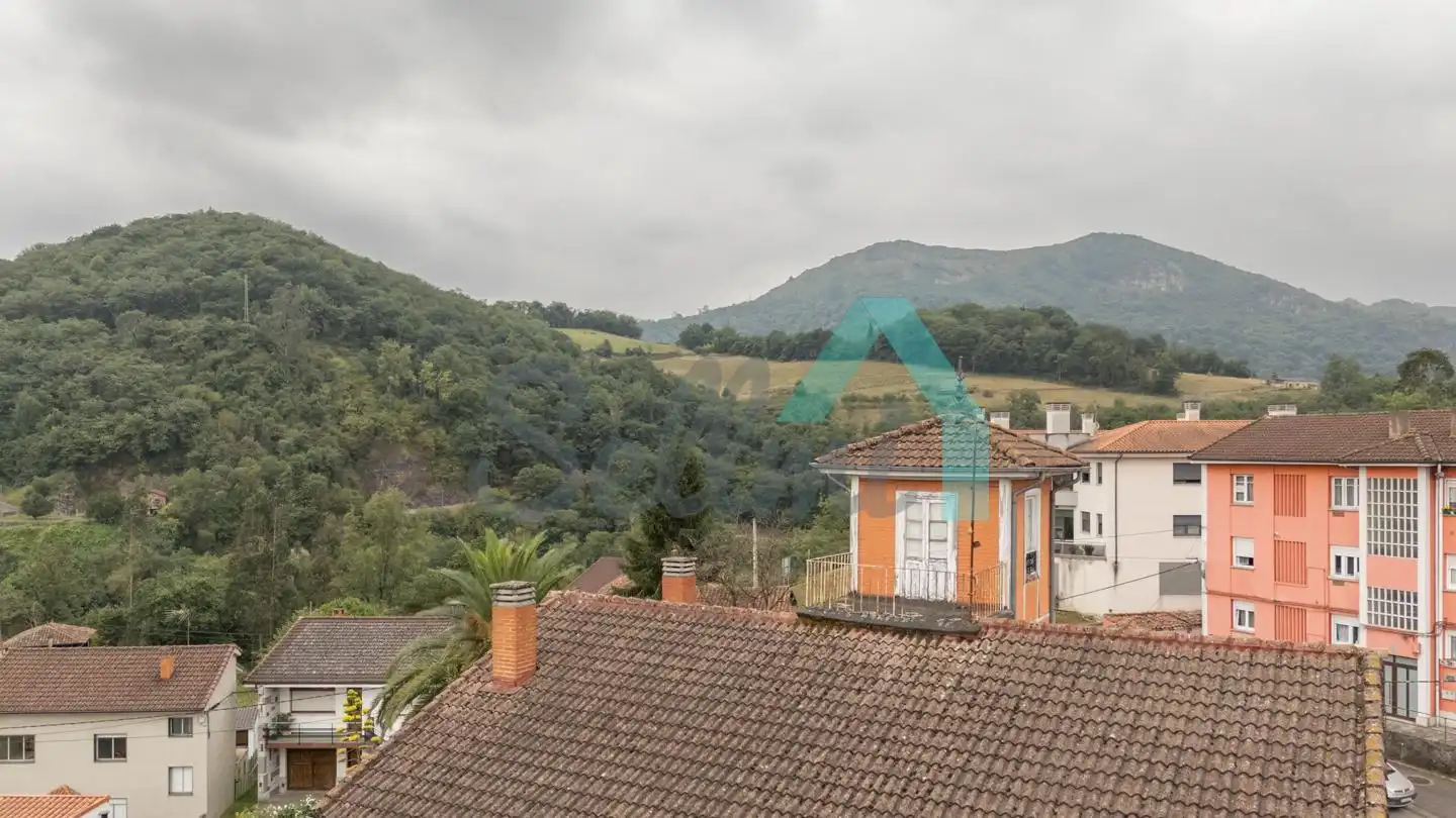 Vista exterior de Casa o chalet en venta en Ribera de Arriba con Jardín privado, Terraza y Balcón
