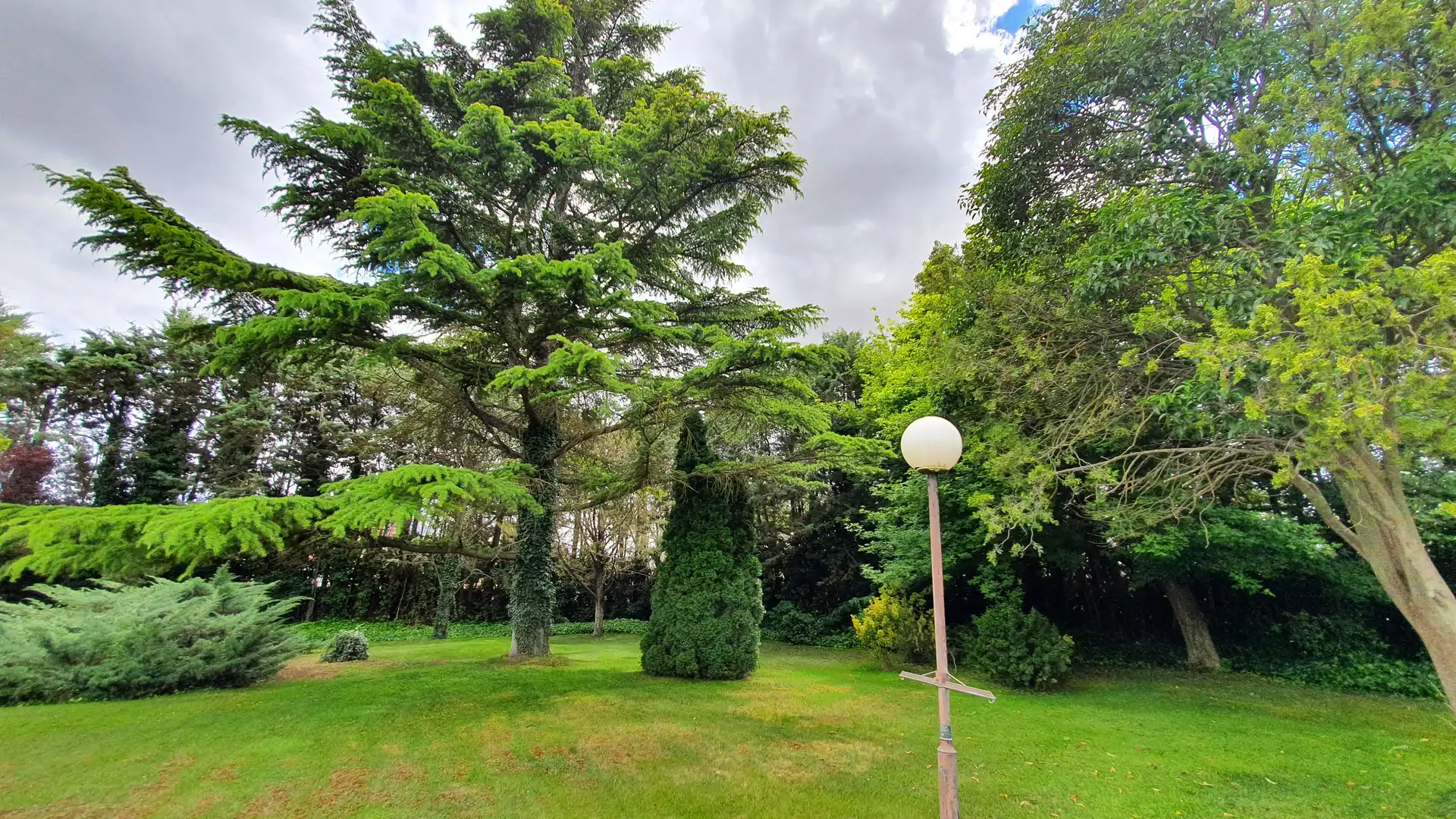 Jardí de Casa o xalet en venda en Palencia amb Calefacció, Terrassa i Traster