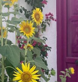 Foto 3 de Finca rústica en venda a Calle Villa, Pegalajar, Jaén