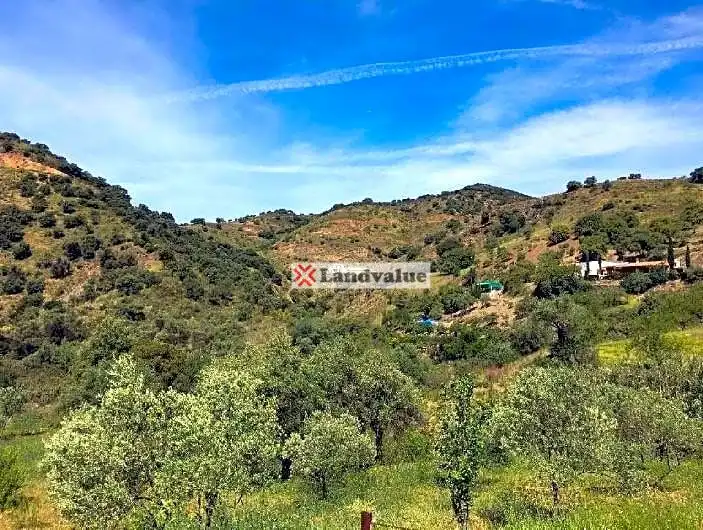 Terreni e lotti in vendita a Almogía, imagen 10