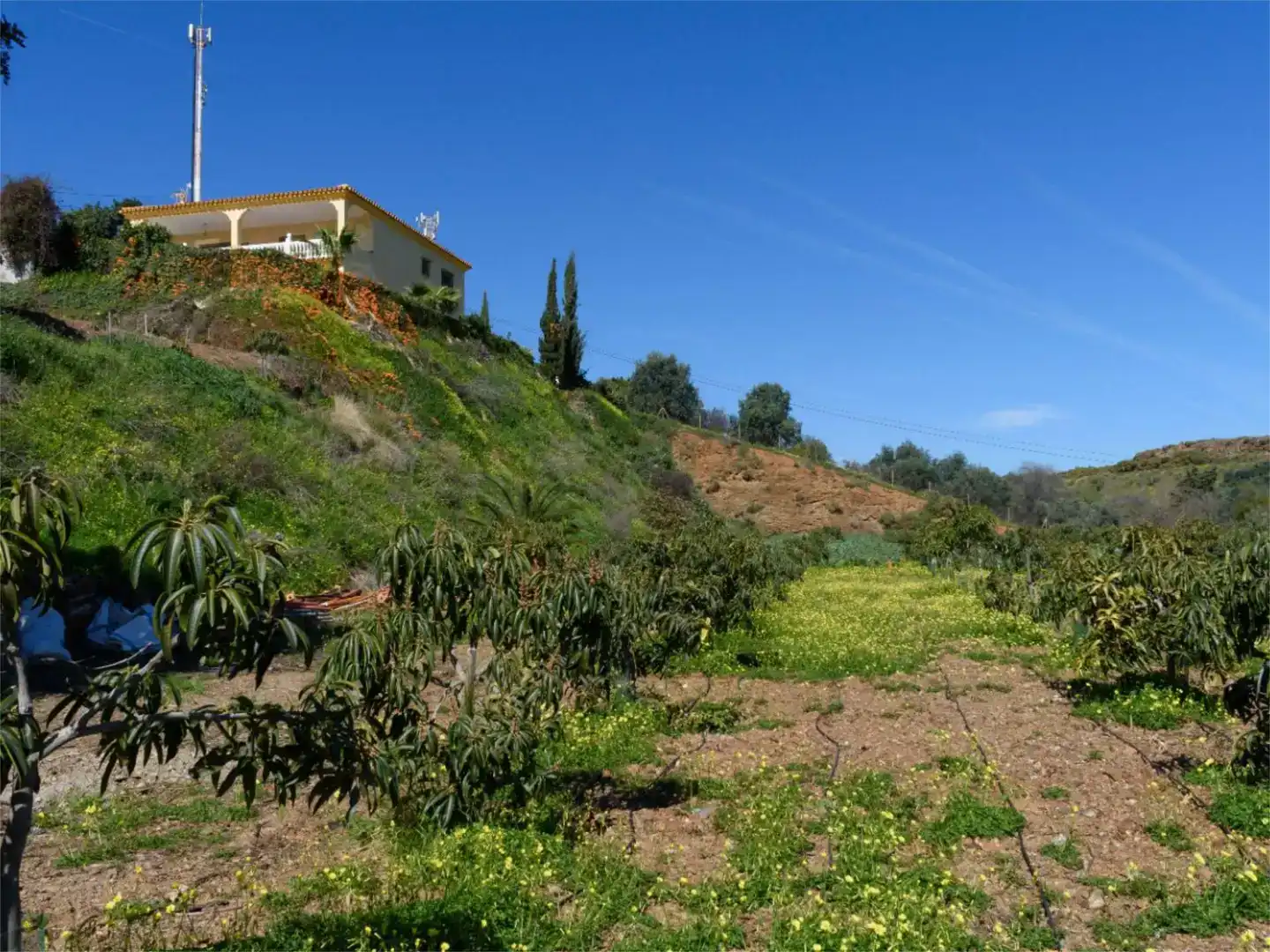 Piso en venta en Vélez-Málaga con Piscina y Balcón