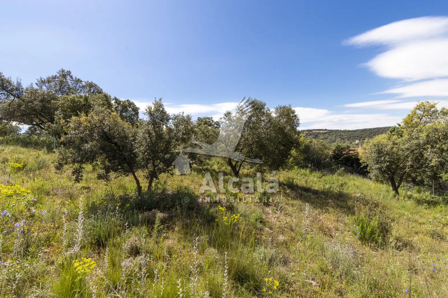 Residential land for sale in Fuentenovilla, imagen 18