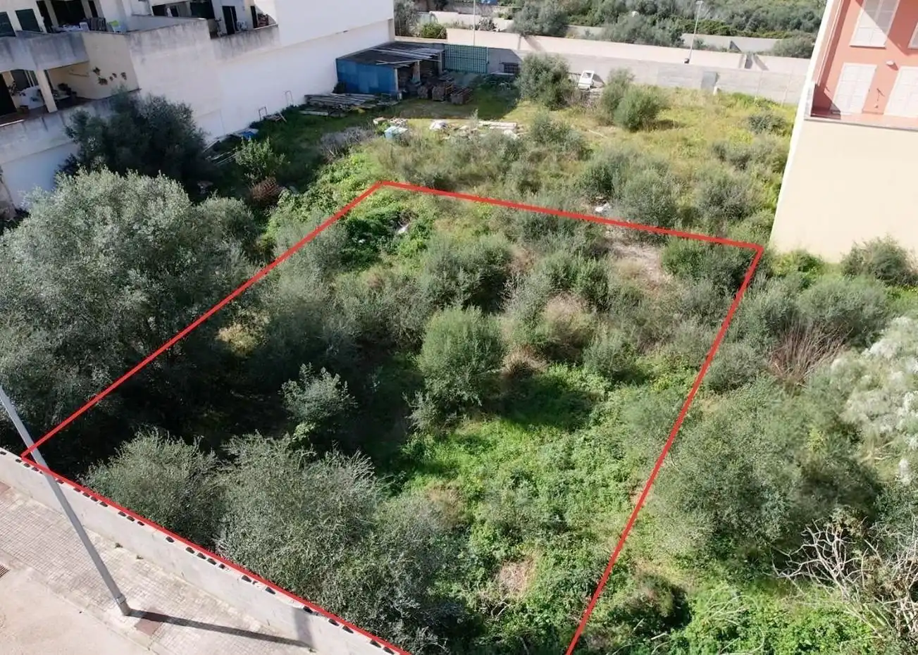 Rural land for sale in Muro, imagen 2