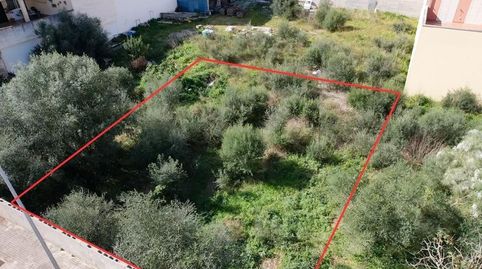 Oportunidad en Muro | Solar urbano de 554 m² con vistas a la montaña, immagine 2