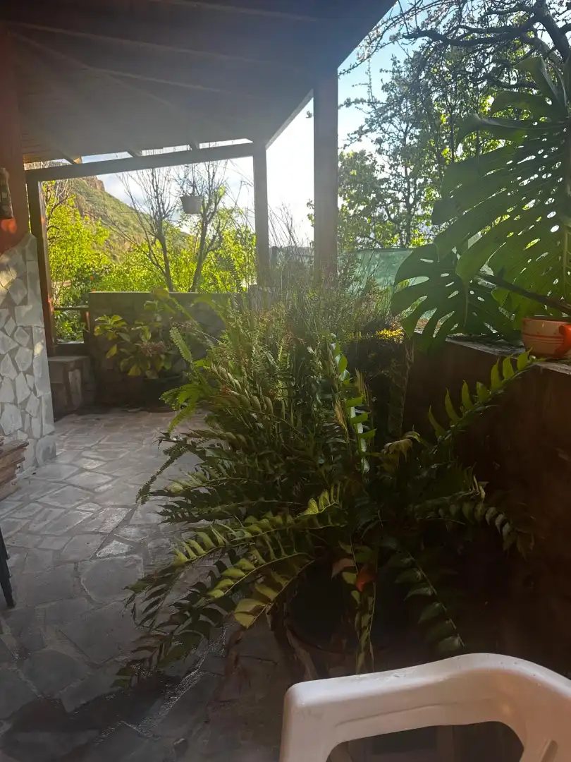 Jardí de Casa o xalet en venda en Valsequillo de Gran Canaria amb Jardí privat, Terrassa i Traster