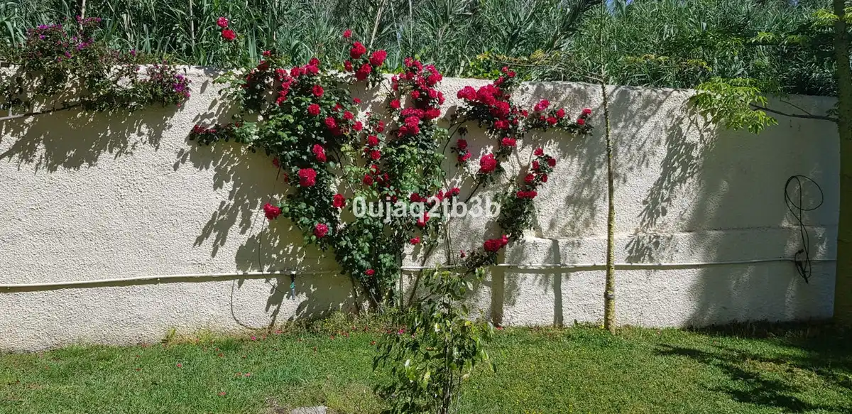 Xalet amb piscina en venda a Selwo, imagen 19