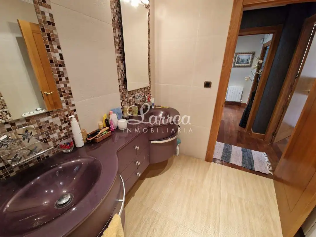 Bathroom of Detached homes for sale in Areatza  with Heating, Private garden and Storage room