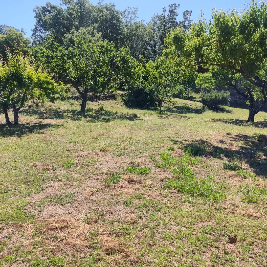 Terreni e lotti in vendita a Jarandilla de la Vera, imagen 10