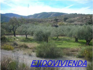 Rural land for sale in Fondón