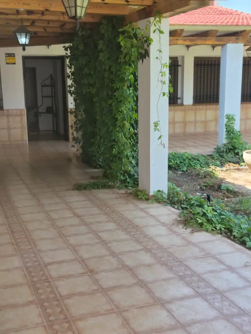 Chalet con terraza en venta en Pedanías - Extrarradio, imagen 16