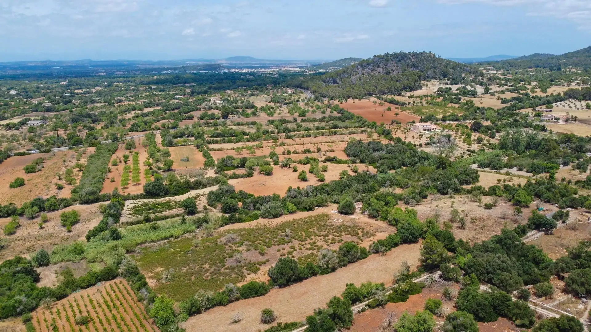 Lands and plots for sale in Felanitx Poble, imagen 2