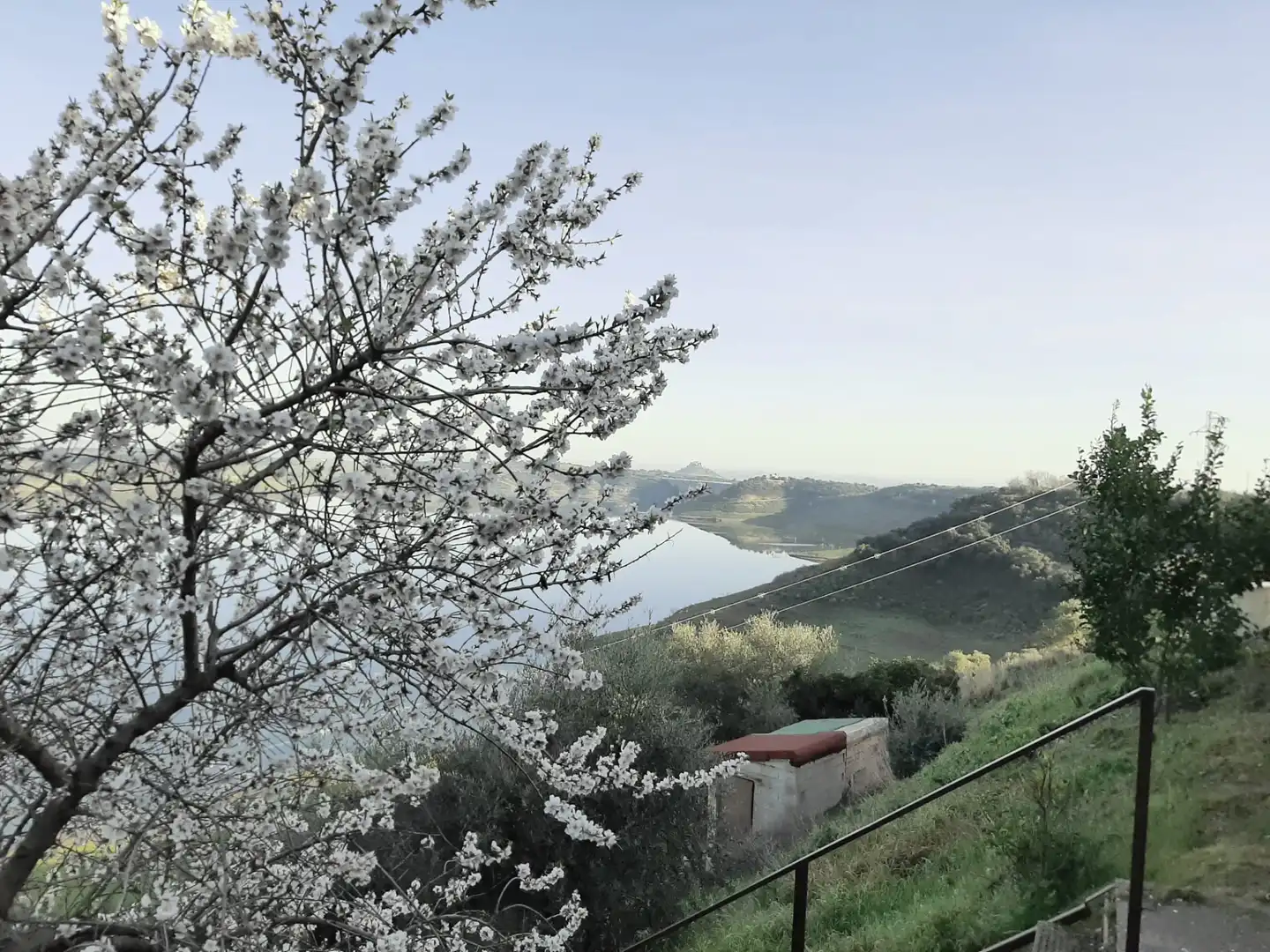 Jardín de Casa o chalet en venta en Almodóvar del Río con Aire acondicionado, Calefacción y Jardín privado