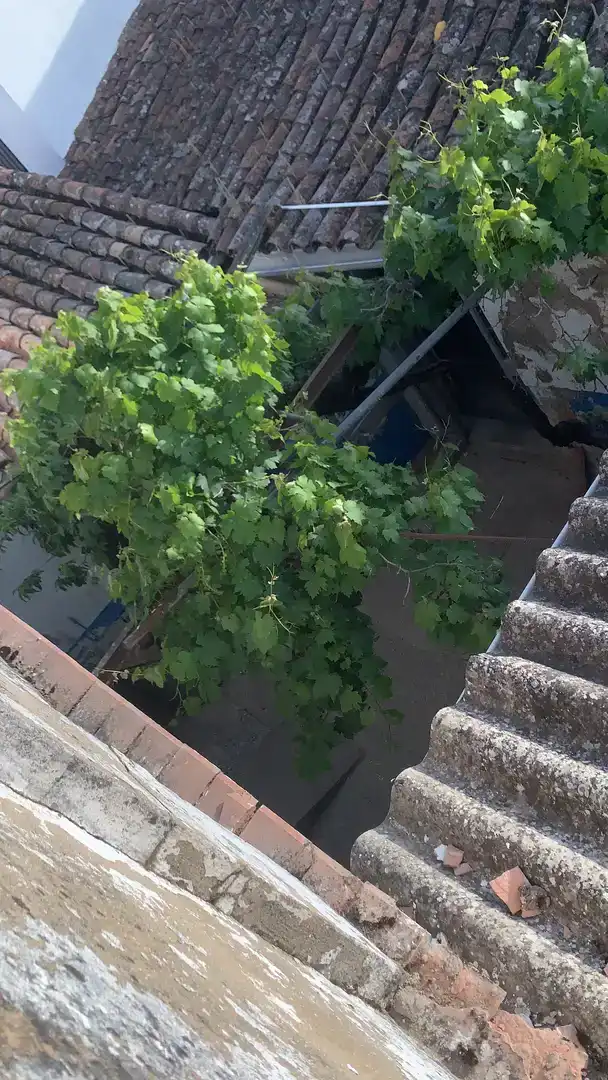 Terraza de Planta baja en venta en Aracena
