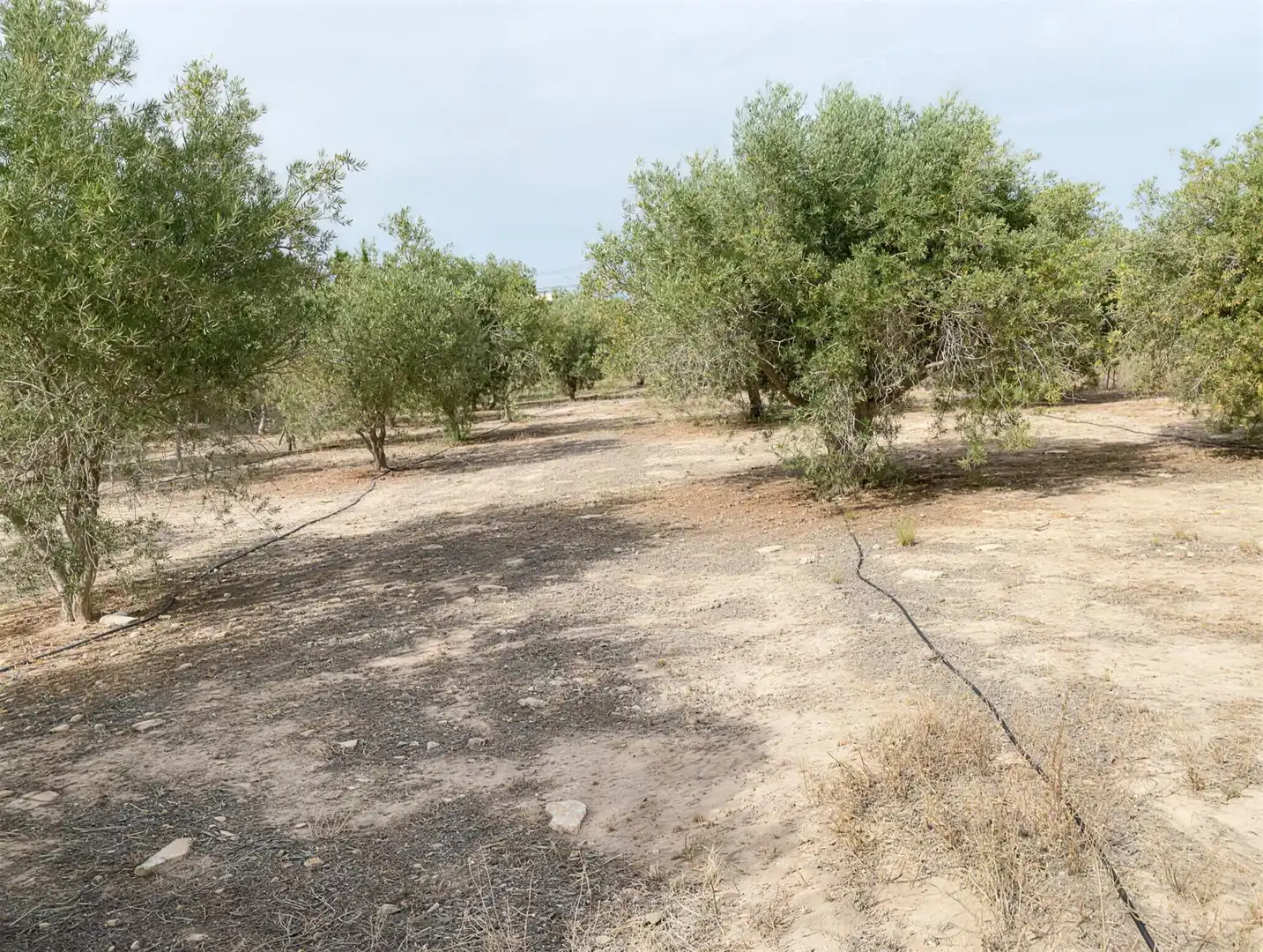 Villa à vendre à Partida Campet, imagen 28