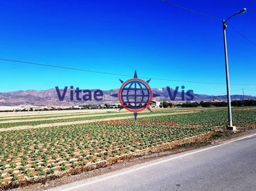 Terreno residenziale in vendita a Diseminados Tercia La