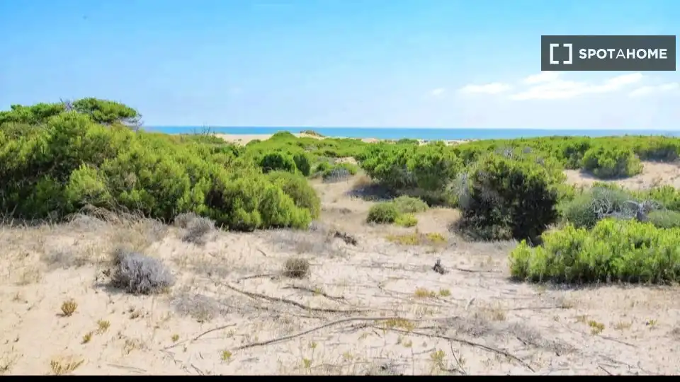 Habitació a El Moncayo - El Pòrtic