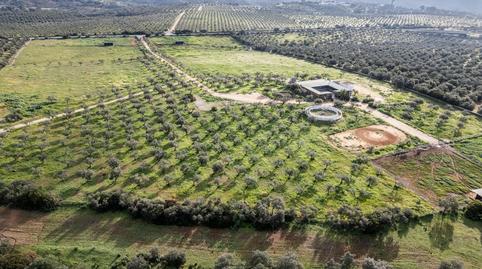 Photo 3 of Country house for sale in Gerena, Sevilla