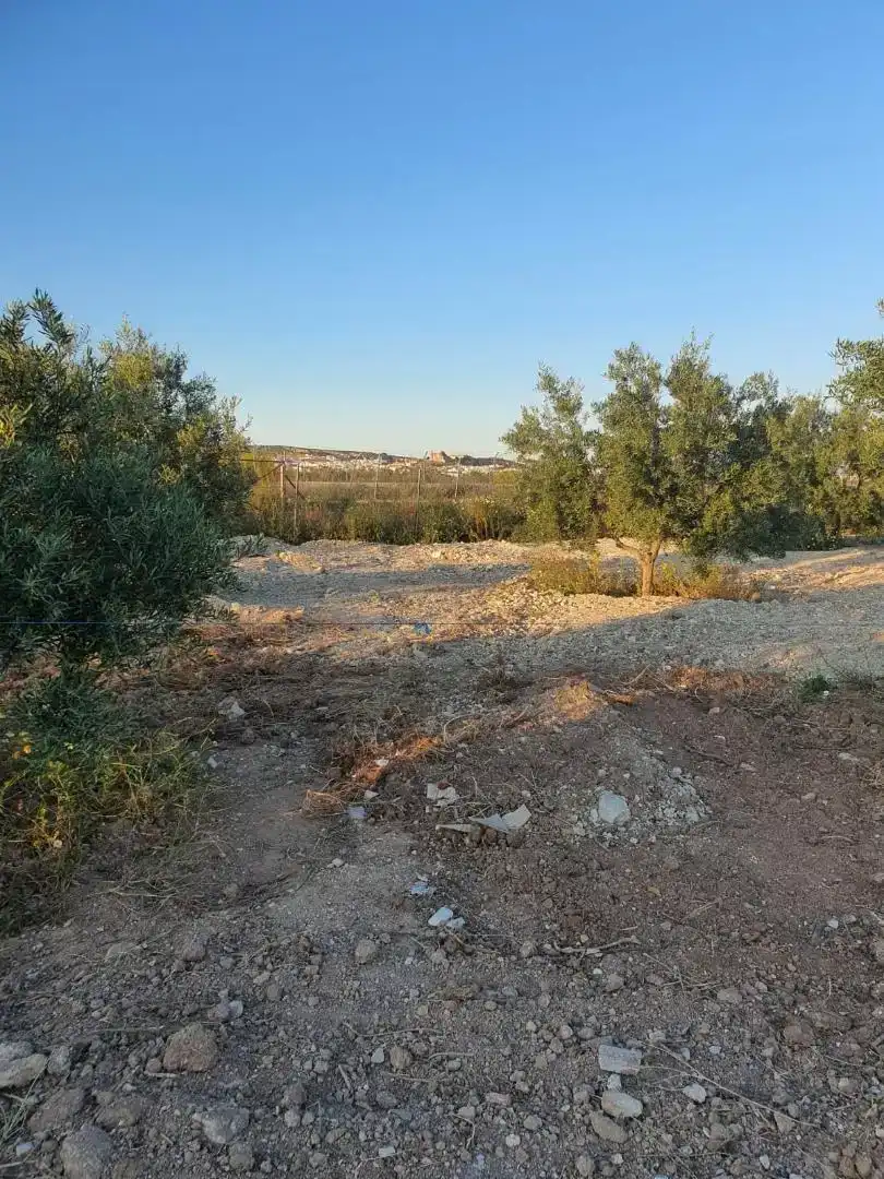 Terreno en venta en Osuna