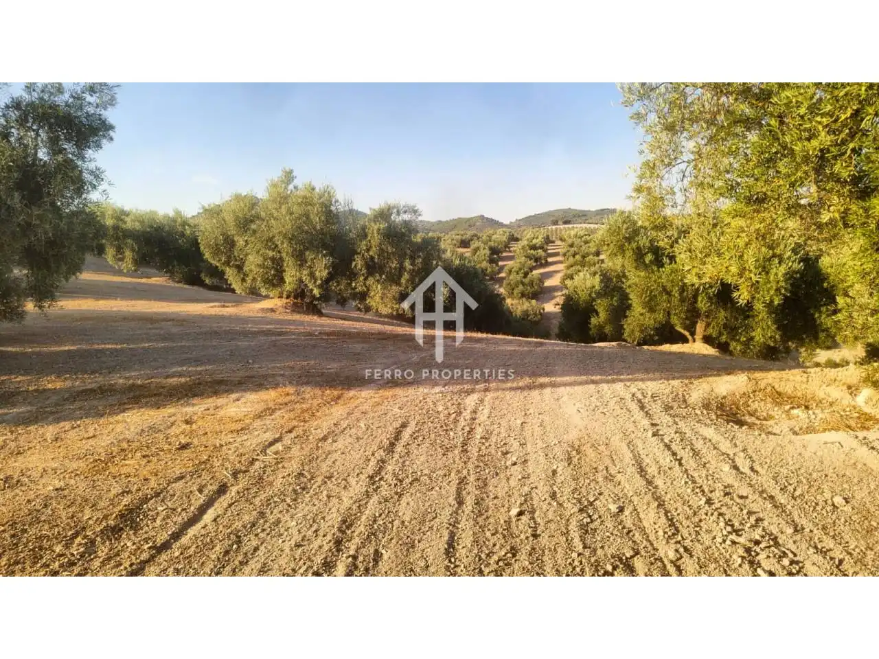 Terrain rustique à vendre à Loja, imagen 10