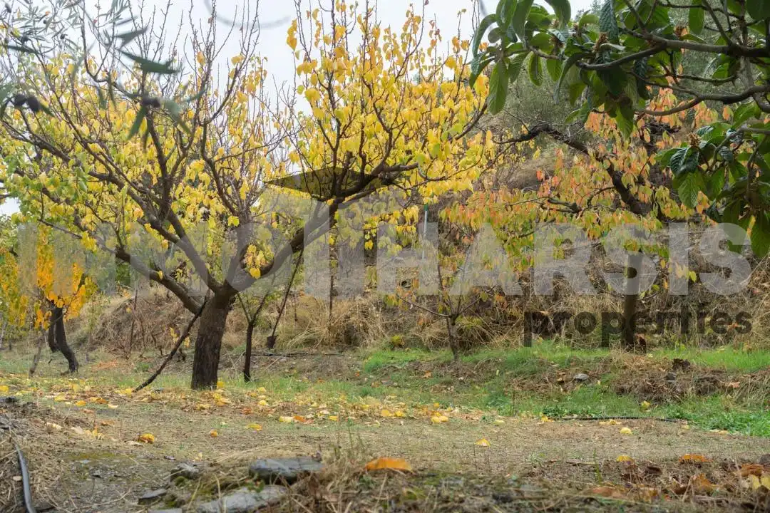 Casa o xalet en venda en Abrucena amb Jardí privat, Terrassa i Moblat