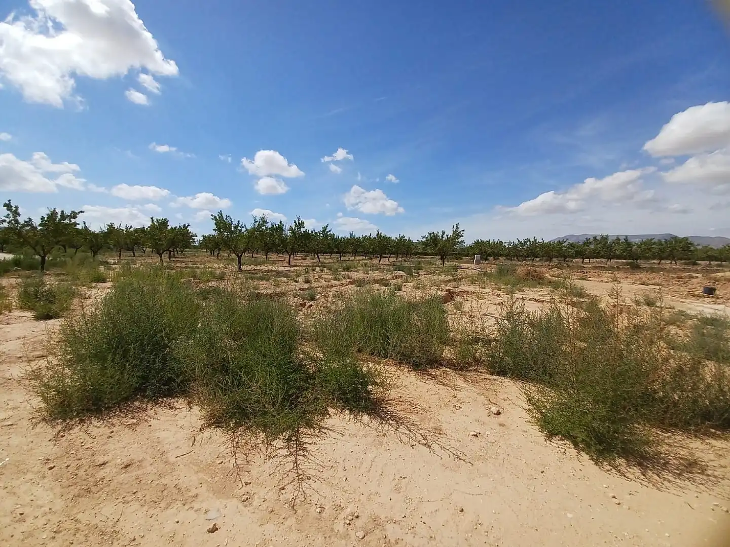 Villa à vendre à El Pinós / Pinoso, imagen 21