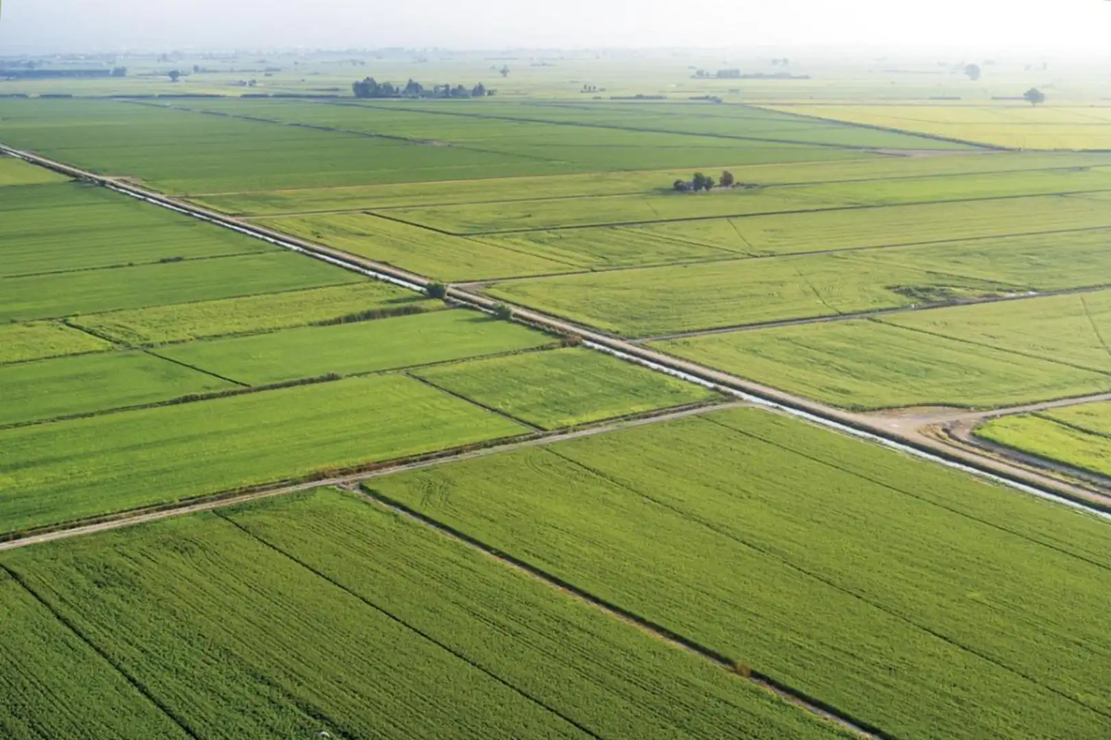 Rural land for sale in Deltebre