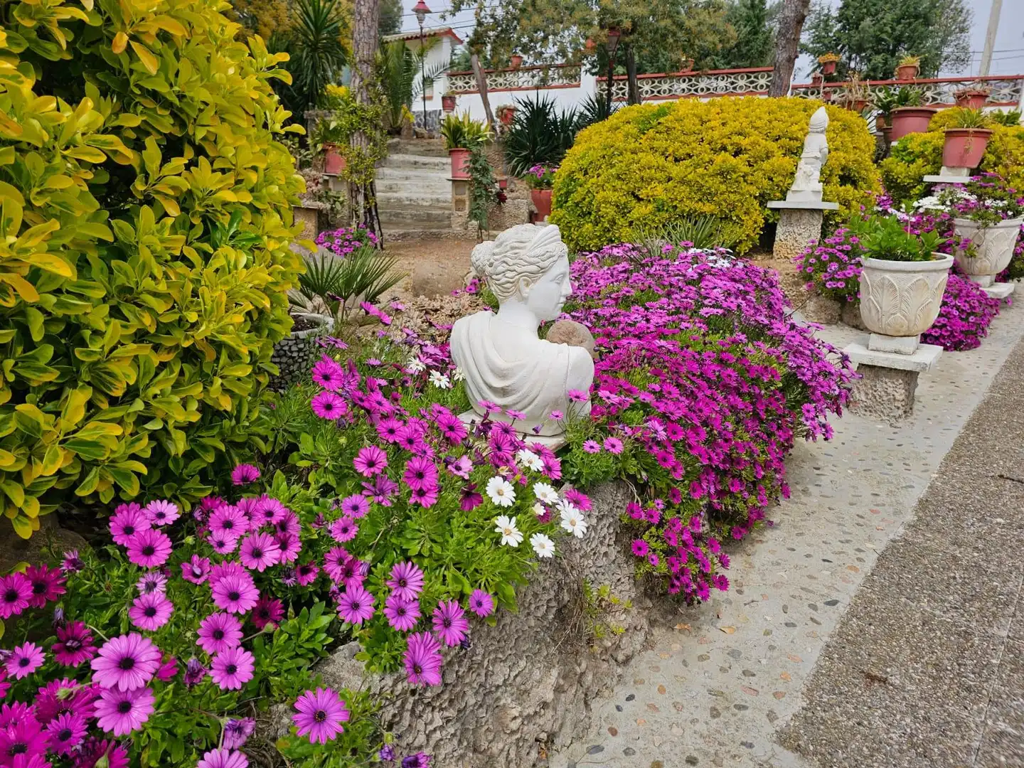 Casa con terraza en venta en Mas Altaba - El Molí, imagen 15
